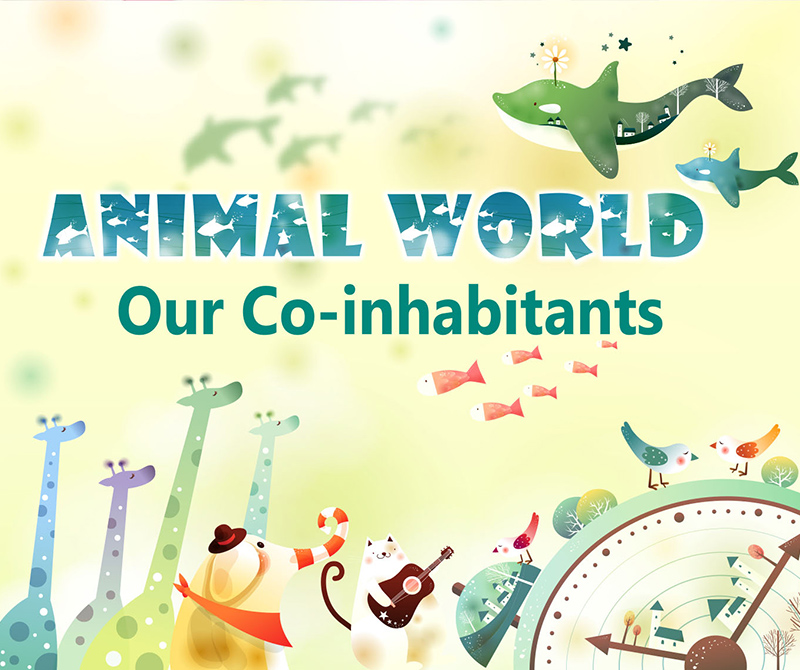 Le persone animali: i nostri coabitanti